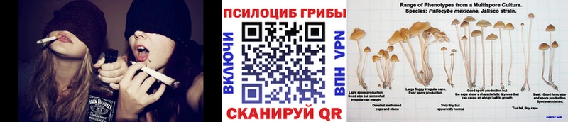 Галлюциногенные грибы Magic Shrooms  Липки 